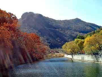 管家婆黑白马报图库，施甸seo外包